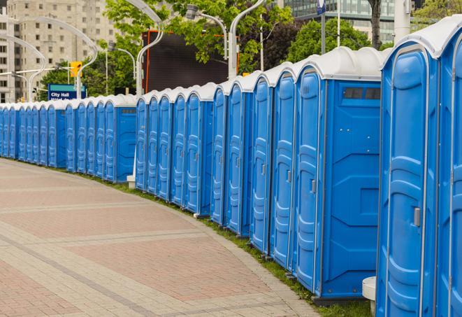 a fleet of portable restrooms ready for use at a large outdoor wedding or celebration in Bridgewater